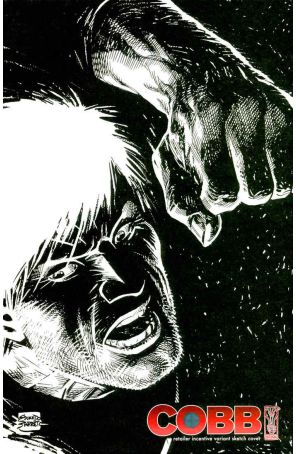 Cobb 1A published by IDW