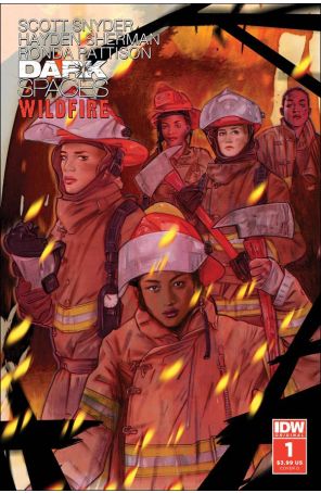 Dark Spaces: Wildfire 1D published by IDW