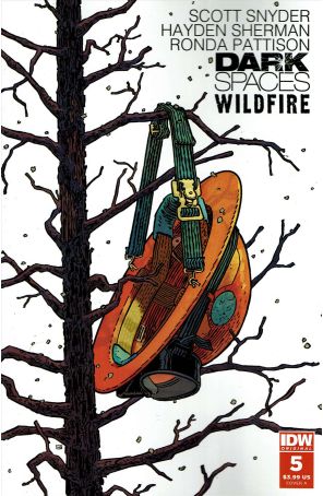 Dark Spaces: Wildfire 5A published by IDW with cover art by Hayden Sherman