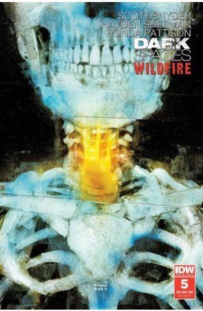 Dark Spaces: Wildfire 5D published by IDW with cover art by Martin Simmonds