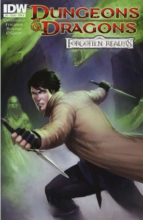 Dungeons And Dragons: Forgotten Realms 5A published by IDW with cover art by Steve Ellis