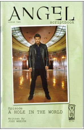 IDW Publishing Scriptbooks: Angel 2A published by IDW