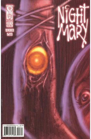 Night Mary 3 published by IDW with cover art by Kieron Dwyer