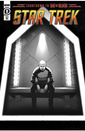 Star Trek (6th Series) 8D published by IDW with cover art by Mike Feehan