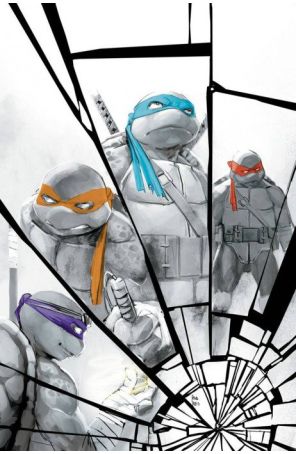 Teenage Mutant Ninja Turtles (5th Series) 140D published by IDW with cover art by Rod Reis