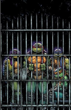 Teenage Mutant Ninja Turtles (6th Series) 11F published by IDW with cover art by Kevin Eastman