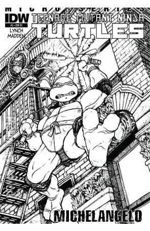 Teenage Mutant Ninja Turtles Microseries 2D published by IDW with cover art by Kevin Eastman