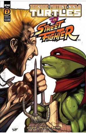 Teenage Mutant Ninja Turtles Vs. Street Fighter 2B published by IDW with cover art by Alex Sanchez