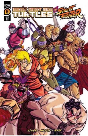 Teenage Mutant Ninja Turtles Vs. Street Fighter 5D published by IDW with cover art by Vincenzo Federici