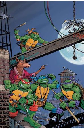 Teenage Mutant Ninja Turtles: Saturday Morning Adventures Continued 1E published by IDW