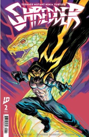 Teenage Mutant Ninja Turtles: Shredder 2D published by IDW with cover art by Paul Harmon