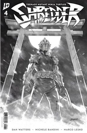 Teenage Mutant Ninja Turtles: Shredder 4D published by IDW with cover art by Michele Bandini