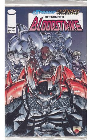 Bloodstrike 19 (in bag) published by Image with cover art by Karl Altstaetter