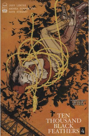 Bone Orchard: Ten Thousand Black Feathers 4B published by Image with cover art by Yuko Shimizu