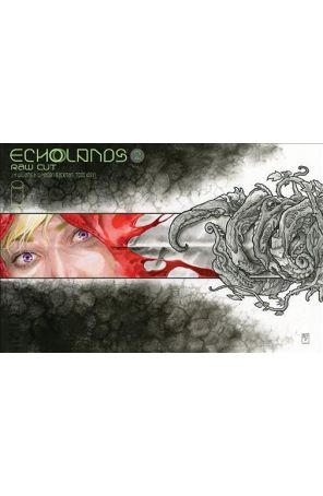 Echolands 2C published by Image with cover art by J. H. Williams III