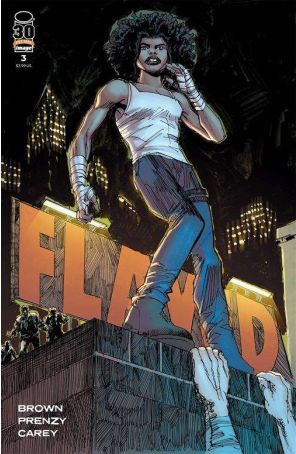 Flawed 3B published by Image with cover art by Denys Cowen