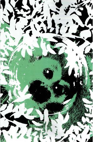 Primordial (Image) 4D published by Image with cover art by Andrea Sorrentino