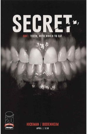 Secret (Image) 1 published by Image with cover art by Ryan Bodenheim