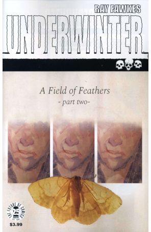 Underwinter: A Field of Feathers 2 published by Image with cover art by Ray Fawkes