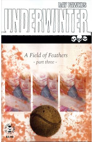 Underwinter: A Field of Feathers 3 published by Image with cover art by Ray Fawkes
