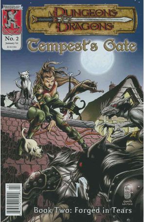 Dungeons and Dragons: Tempest's Gate 2 published by Kenzer and Company with cover art by Mike Lilly