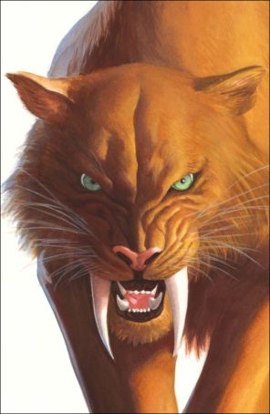 Black Cat (Marvel, 3rd Series) 2A published by Marvel with cover art by Alex Ross