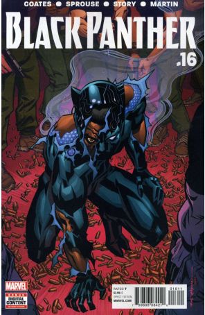Black Panther (5th Series) 16 published by Marvel with cover art by Brian Stelfreeze