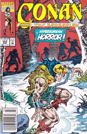 Conan the Barbarian 254 (Newsstand) published by Marvel with cover art by Mike Docherty