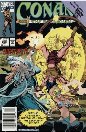 Conan the Barbarian 263 (Newsstand) published by Marvel with cover art by Mike Docherty