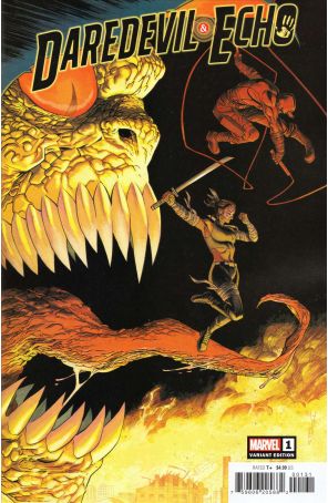 Daredevil And Echo 1B published by Marvel with cover art by Declan Shalvey