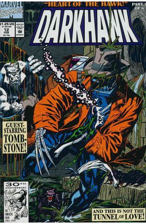 Darkhawk 12 published by Marvel with cover art by Mike Manley