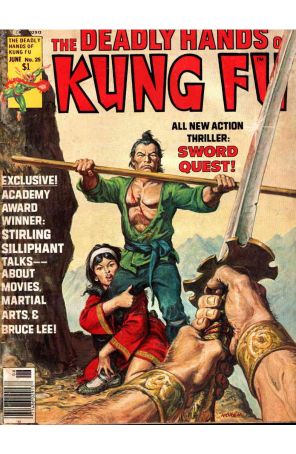 Deadly Hands of Kung Fu 25 published by Marvel with cover art by Earl Norem