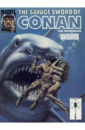Savage Sword of Conan 192 published by Marvel with cover art by Bob Larkin