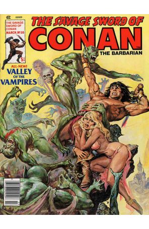 Savage Sword of Conan 38 published by Marvel with cover art by Earl Norem