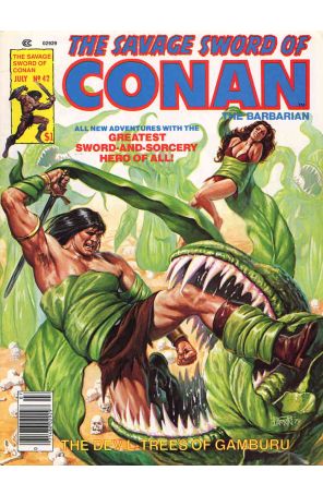 Savage Sword of Conan 42 published by Marvel with cover art by Bob Larkin