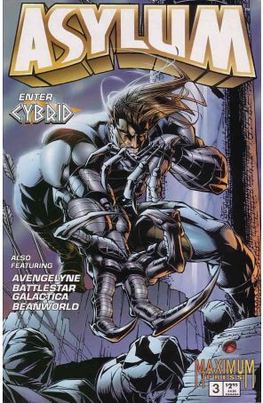 Asylum (Maximum) 3 published by Maximum with cover art by Sam Liu