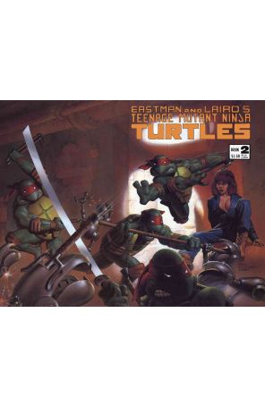 Teenage Mutant Ninja Turtles (1st Series) 2 (3rd) published by Mirage with cover art by Richard Corben