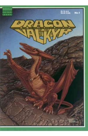 Dragon of the Valkyr 1 published by Rak with cover art by James Mravec