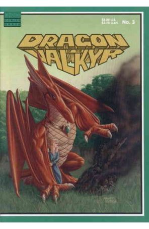 Dragon of the Valkyr 3 published by Rak with cover art by James Mravec