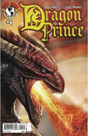 Dragon Prince 1B published by Top Cow with cover art by Stjepan Sejic