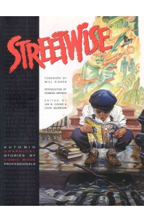 Streetwise TPB 1 published by TwoMorrows with cover art by Steve Rude