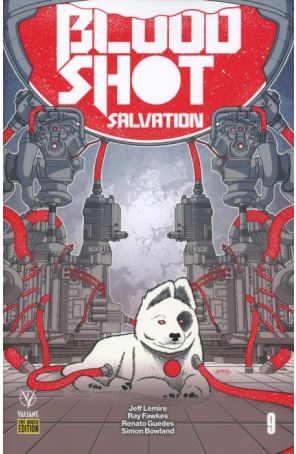 Bloodshot Salvation 9F published by Valiant with cover art by Ryan Bodenheim