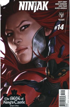 Ninjak (3rd Series) 14A published by Valiant with cover art by Jelena Kevic-Djurdjevic