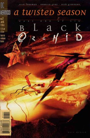 Black Orchid 17 published by DC/Vertigo with cover art by Dave McKean