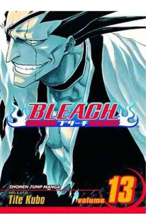 Bleach 13 published by Viz with cover art by Tite Kubo