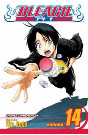 Bleach 14 published by Viz with cover art by Tite Kubo