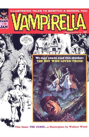 Vampirella (Magazine) 9 published by Warren with cover art by Boris Vellejo, Wally Wood