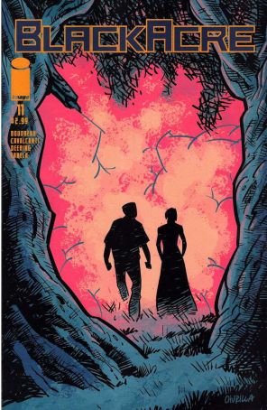 Blackacre #11 VF ; Image comic book