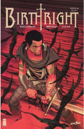 Birthright (Image) #14B VF ; Image comic book
