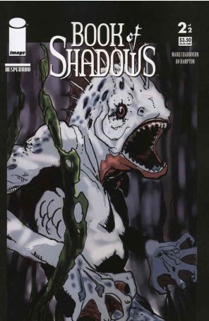 Book of Shadows #2 VF ; Image comic book